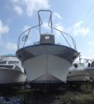 repaired-bow-fiberglass-like-new-professional-repair